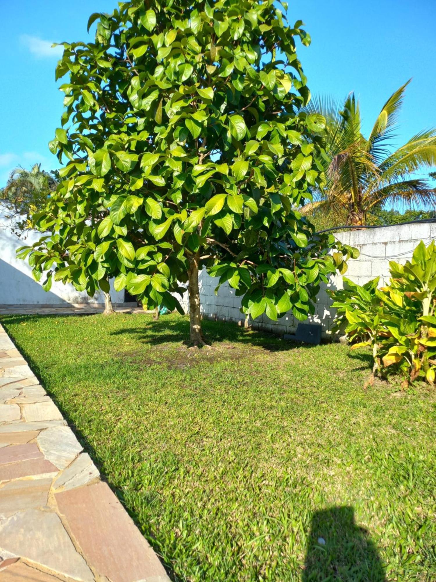 Chacara Sitio Casa Peruibe Praia Exterior photo